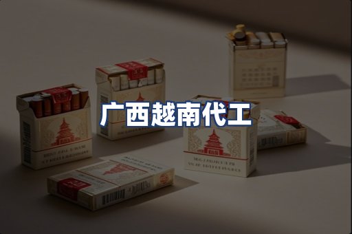广西越南代工